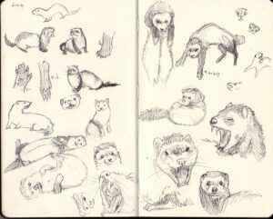 Sketchbook Saturday: Ferrets and Hippos - Stormslegacy Designs