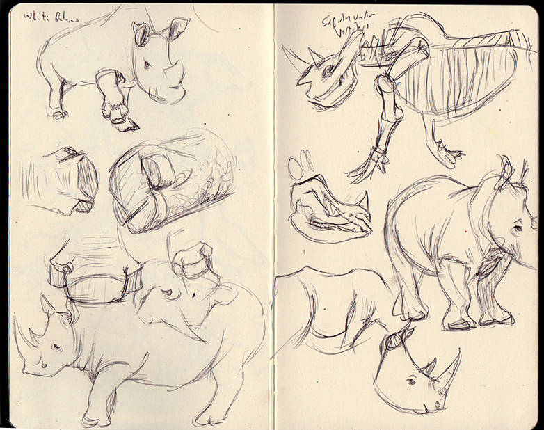 white rhino sketches