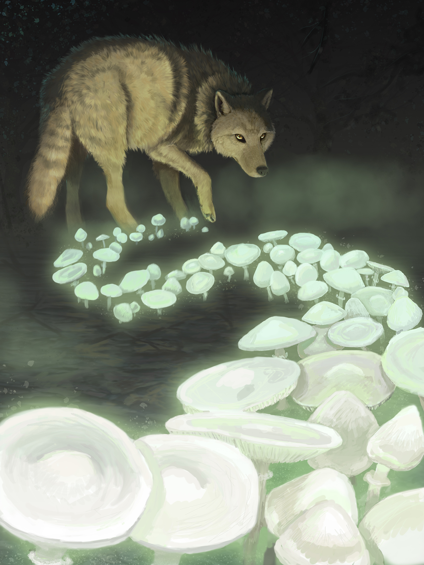 A wolf of death walks through the woods creating amanita "death angel" mushrooms