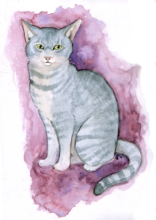 a grey cat in watercolor