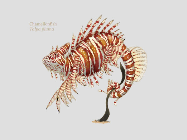 A creature design chamelionfish based on a chameleon and a lionfish