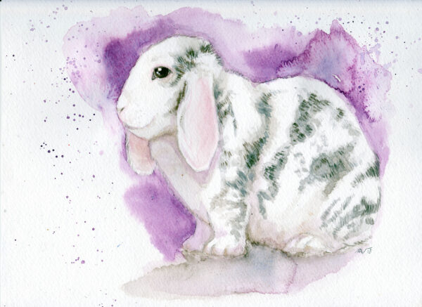 Watercolor painting of a black and white lop rabbit
