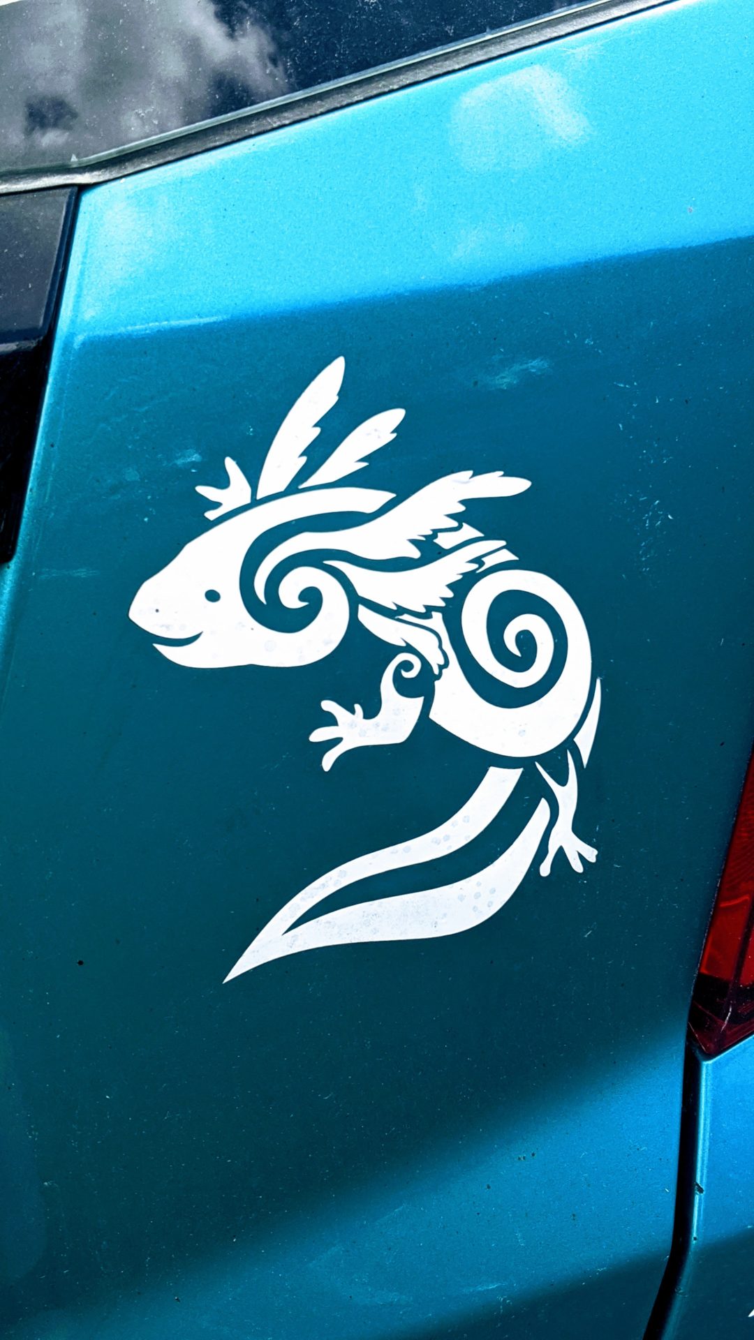 vinyl decal applied to car