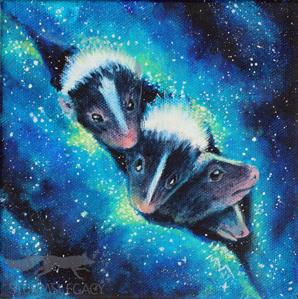 Mephitid Cluster Skunk Baby Galaxy 6x6inch Wrap Around Canvas Paintings